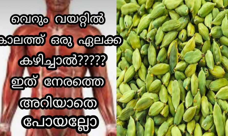 നിത്യവും ഏലക്ക ഇട്ട് തിളപ്പിച്ച വെള്ളം കുടിച്ചാൽ സംഭവിക്കുന്നത്.