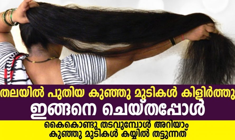 നിങ്ങളുടെ മുടിയിഴകൾ ഇനി കൂടുതൽ ഇടതൂർന്നതാകും, പുതിയ മുടിയിഴകൾ കിളിർത്തു വരും. കൈകൊണ്ട് പിടിച്ചാൽ ഒരുങ്ങാത്തത്ര മുടി വളരും.