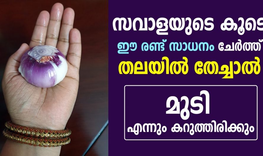 സബോള ഇങ്ങനെ ഉപയോഗിച്ചാൽ ഇനി നിങ്ങളുടെ മുടി നരക്കുകയെ ഇല്ല.