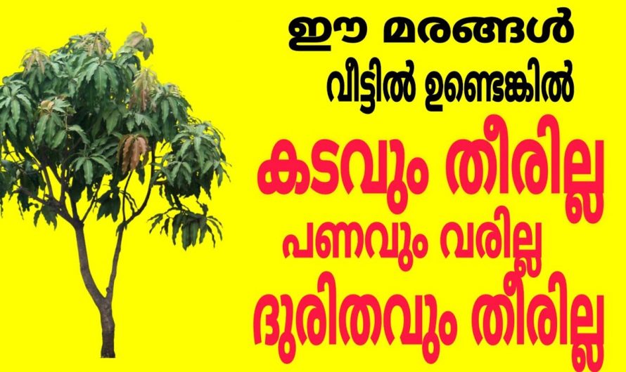 കടംകയറി മുടിയാൻ ഈ മരങ്ങൾ വീട്ടിൽ ഉണ്ടായാൽ മതി.