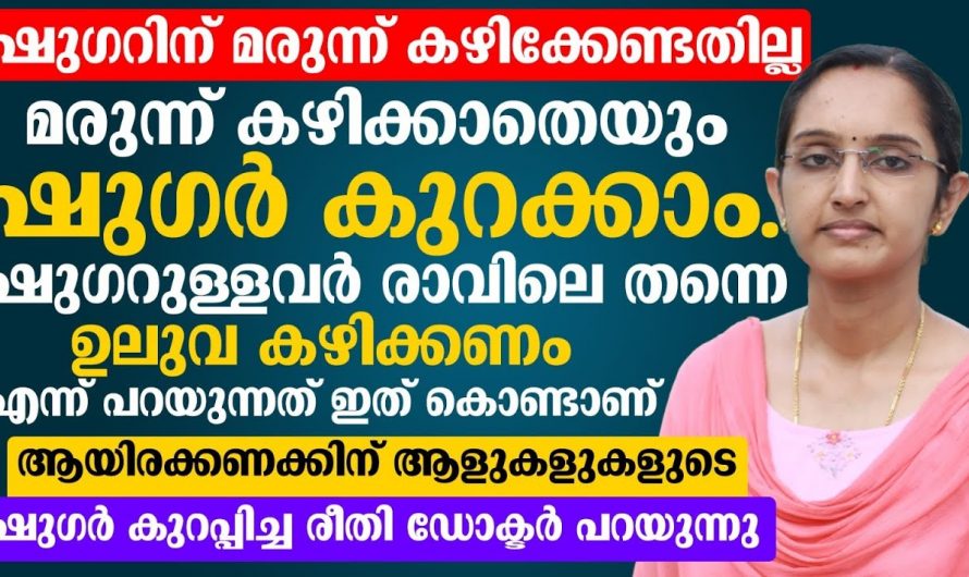 ഇനി ഒരു മരുന്നും വേണ്ട നിങ്ങളുടെ പ്രമേഹവും നിയന്ത്രിക്കാം. നിങ്ങളുടെ ഭക്ഷണ രീതി ഇനി ഇങ്ങനെ മാറ്റു.