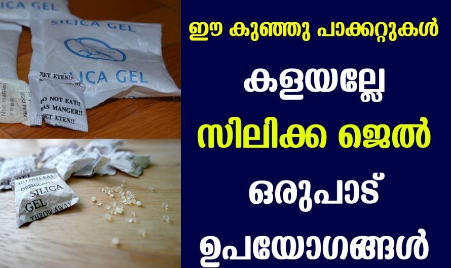 ഈ കുഞ്ഞു പാക്കറ്റുകളുടെ ഗുണമറിഞ്ഞാൽ ഇനി നിങ്ങൾ ഒരിക്കലും ഇത് കളയില്ല. മരുന്നുകളോടൊപ്പം കിട്ടുന്ന സിലിക്ക ബാഗുകൾ ഇങ്ങനെ ഉപയോഗിക്കൂ.