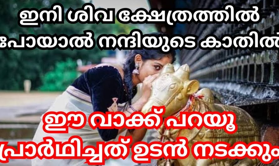 നിങ്ങൾ ഈ കാര്യം ചെയ്യാറുണ്ടോ, ക്ഷേത്രത്തിൽ പോകുമ്പോൾ ഇനി ഇങ്ങനെ ചെയ്തു നോക്കൂ പെട്ടെന്ന് ഫലം ഉണ്ടാകും.