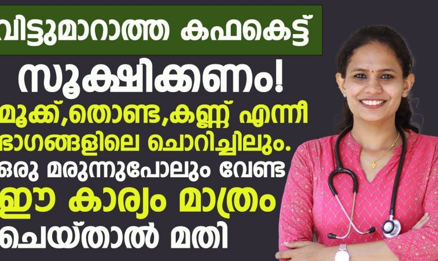 ശ്വാസനാളിയിൽ. അടിഞ്ഞുകൂടിയ കഫത്തിനെ  എങ്ങനെ നേരിടാം.