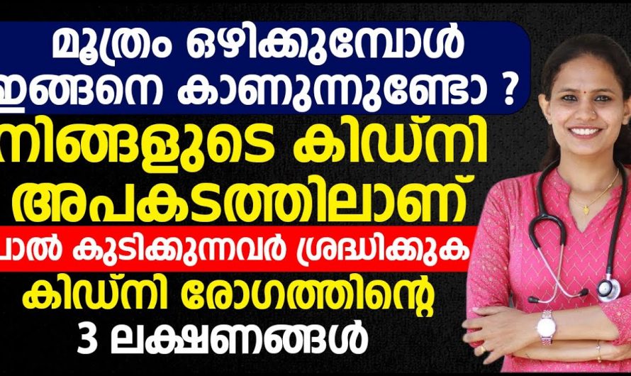 നിങ്ങളുടെ കിഡ്നി അപകടത്തിൽ ആയോ എന്നറിയാൻ ഈ മൂന്നു ലക്ഷണങ്ങളെ തിരിച്ചറിയു.