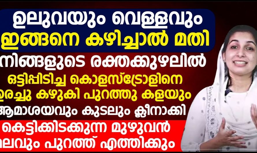 നിങ്ങളുടെ രക്തക്കുഴലുകളും കുടലുകളും ഇനി ക്ലീൻ ആയിരിക്കും. ഇനി ഒരു തരത്തിലുള്ള അസിഡിറ്റി ബുദ്ധിമുട്ടും ഉണ്ടാകില്ല.