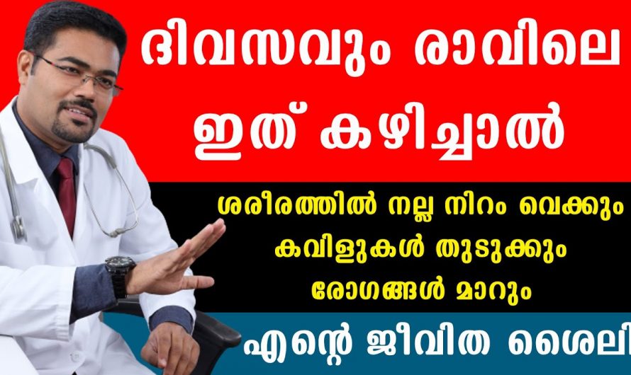ദിവസവും രാവിലെ ഇങ്ങനെ കഴിച്ചു നോക്കൂ. ഇത്രയും ഹെൽത്തി മാർഗ്ഗം വേറൊന്നില്ല.
