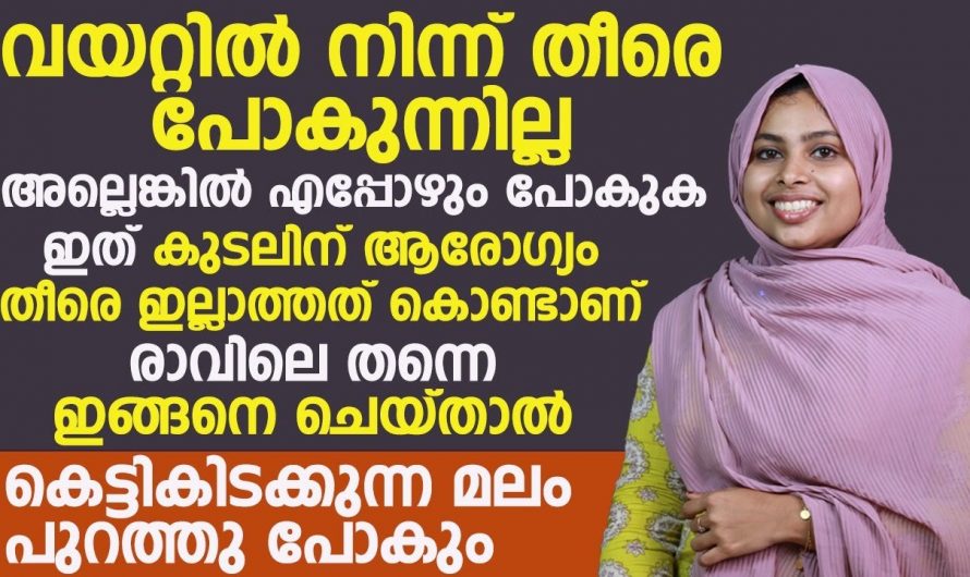 നിങ്ങൾക്കും മലം പോകുന്ന സമയത്ത് ഇത്തരത്തിലുള്ള അനുഭവങ്ങൾ ഉണ്ടായിട്ടുണ്ടോ. നിങ്ങളുടെ വൻകുടലിന്റെ ആരോഗ്യമാണ് ഇതിനു കാരണം.