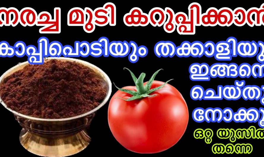 നരച്ച മുടി കറുപ്പിക്കാൻ ഇനി ഡൈ ചെയ്ത് വിഷമിക്കേണ്ട. നിങ്ങൾക്കും നാച്ചുറലായി മുടി കറുപ്പിക്കാം.