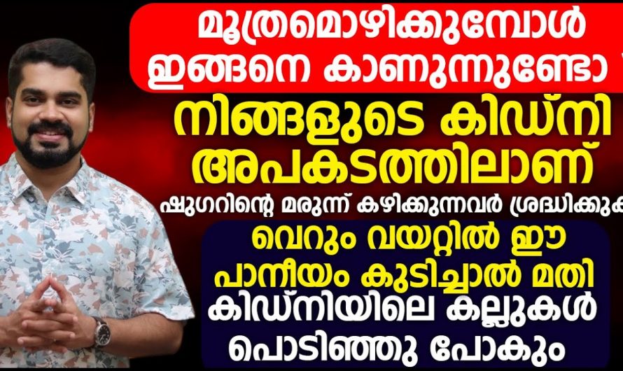 പ്രമേഹ മരുന്നുകൾ കിഡ്നി രോഗത്തിന് ഇടയാക്കുന്നുവോ?  മൂത്രത്തിൽ പത കാണുന്നുണ്ടോ.