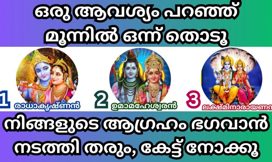 ഈ മൂന്നിലൊന്ന് തൊടു, നാളത്തെ ദിവസം ക്ഷേത്രത്തിൽ ഇങ്ങനെ ചെയ്യും മനസ്സിനെ ഏത് ആഗ്രഹവും സാധിക്കും.