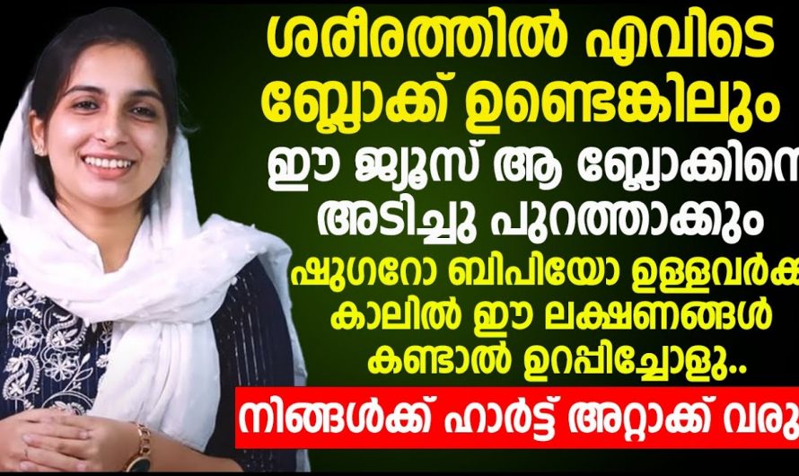 വെളുത്തുള്ളി യോടൊപ്പം ഈ വസ്തു കൂടി ചേർക്കു, എത്ര വലിയ ബ്ലോക്കും ഉരുക്കി കളയും.