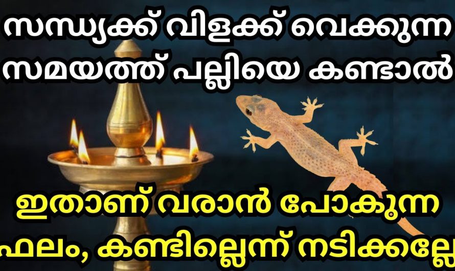 നിലവിളക്ക് വയ്ക്കാൻ നേരം വലിയ കണ്ടോ എങ്കിൽ സൂക്ഷിക്കണം. പല്ലിനൽകുന്ന സൂചന എന്താണെന്നോ!