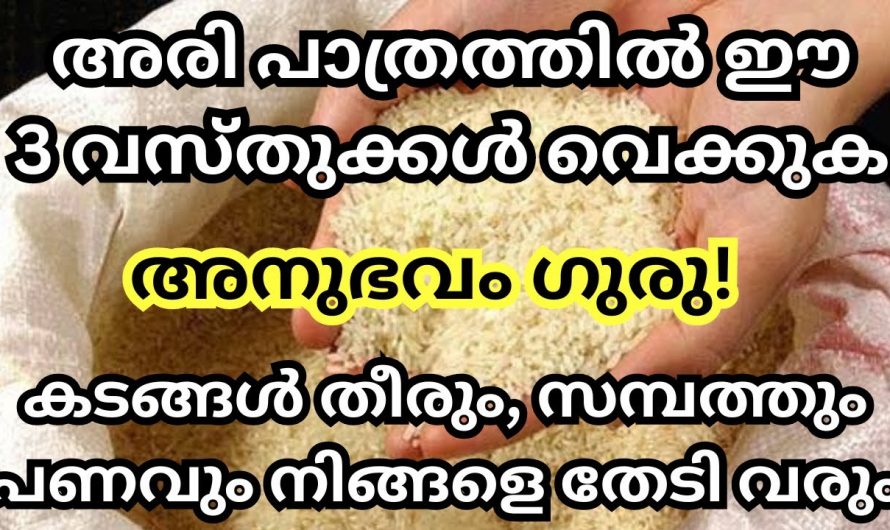 നിങ്ങളെ ഒരു കോടീശ്വരൻ ആക്കാൻ നിങ്ങളുടെ അരി പാത്രത്തിൽ ഈ വസ്തുവെച്ചാൽ മതി.