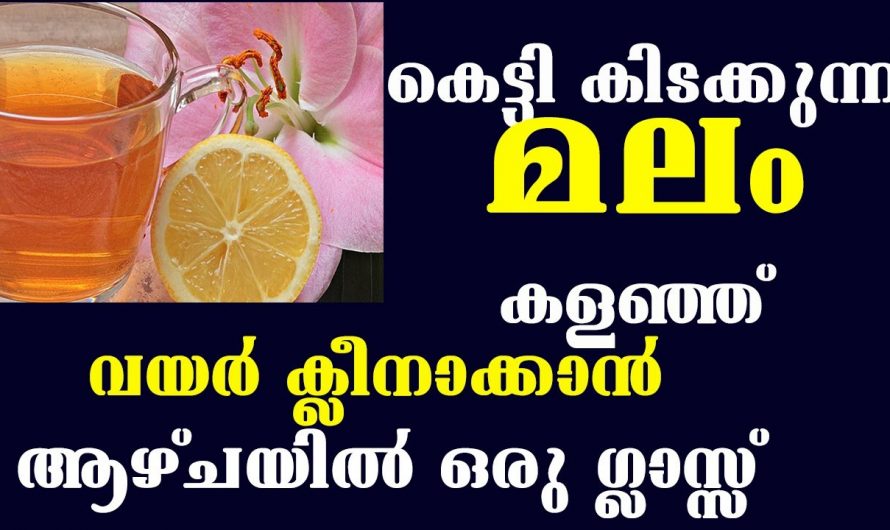 നിങ്ങളുടെ വയറ് ക്ലീൻ ആകാൻ നിസ്സാരമായ ഈ വസ്തുക്കൾ മതി. ആഴ്ചയിൽ ഇത് ഒരു ഗ്ലാസ് കുടിച്ചാൽ മതി എല്ലാ പ്രശ്നങ്ങളും  മാറും.