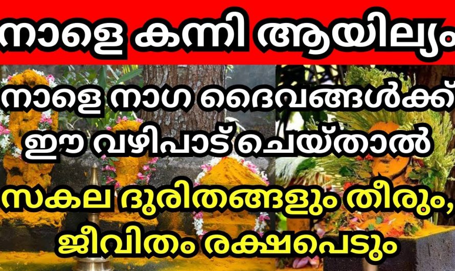 നാഗ ദൈവങ്ങളുടെ അനുഗ്രഹം ലഭിക്കാൻ ഈ ദിവസം ചെയ്തിരിക്കേണ്ട വഴിപാടുകൾ.