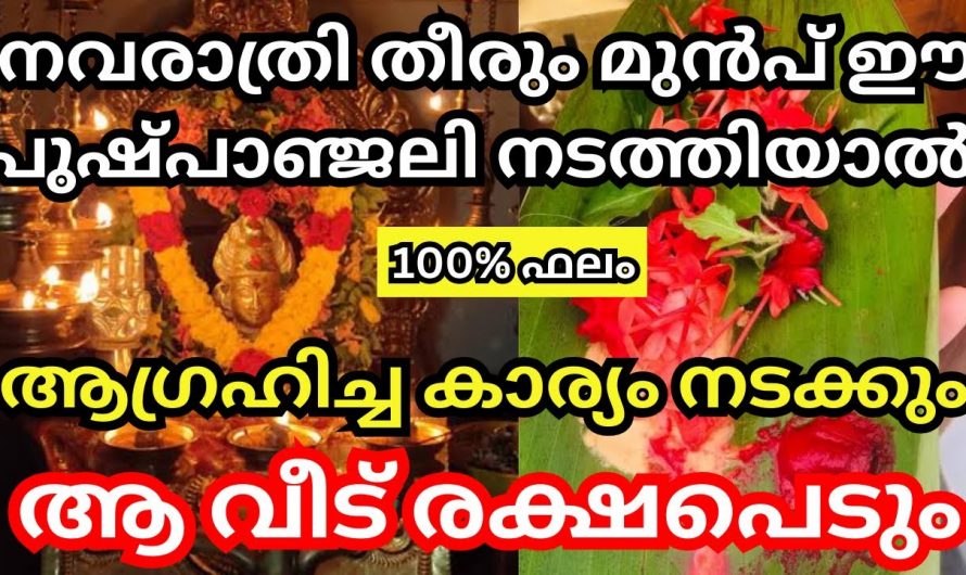 നിങ്ങൾക്കും രക്ഷപ്പെടണോ, നവരാത്രി അവസാനിക്കും മുൻപ് ഇങ്ങനെ ചെയ്താൽ മതി.