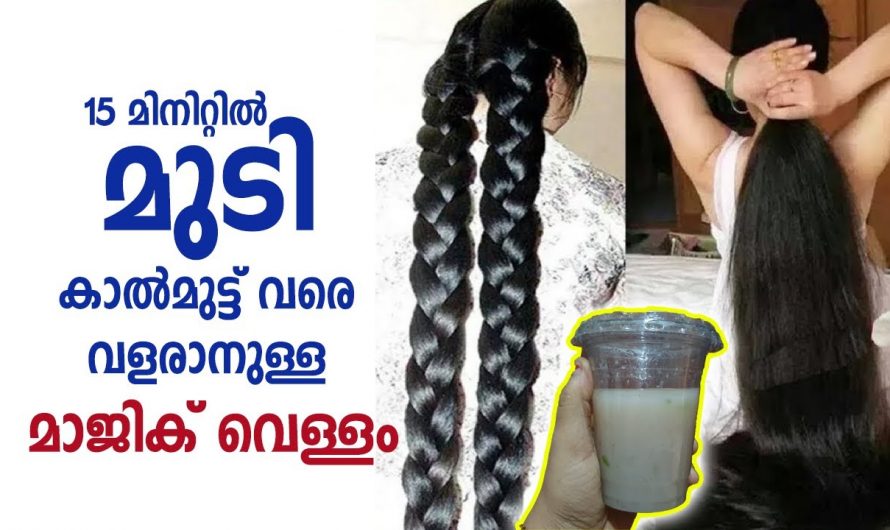 വെറും 15 മിനിറ്റ് കൊണ്ട് നിങ്ങളുടെ മുടി നിലത്തു കിടന്ന് ഇഴയുന്ന രീതിയിൽ വളരും.