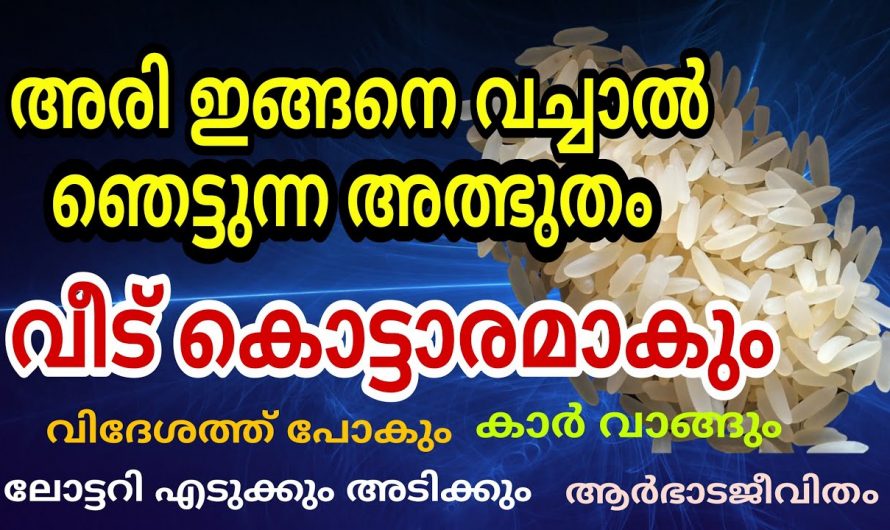 നിങ്ങളുടെ വീട്ടിലും അരി ഇങ്ങനെയാണോ സൂക്ഷിക്കുന്നത്, എങ്കിൽ ഉടൻ മാറ്റിക്കോളൂ.