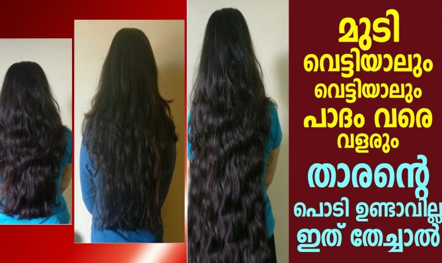 വെറും 20 മിനിട്ട് കൊണ്ട് നിങ്ങളുടെ തലമുടി പാദം വരെ വളരും