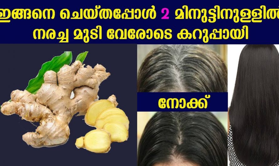 മുടിയുടെ സ്വാഭാവികമായ കറുപ്പുനിറം വീണ്ടെടുക്കാൻ ഇനി ഇങ്ങനെ ചെയ്യാം