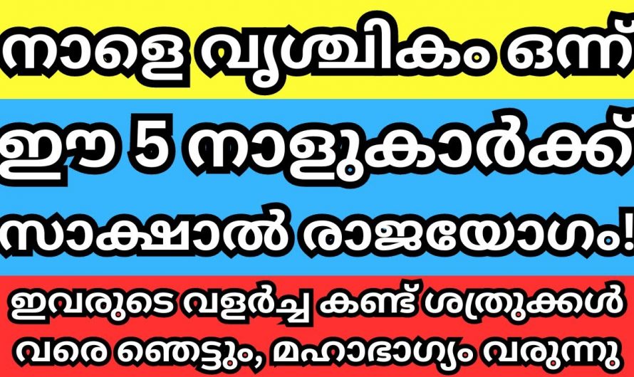 ഇനി ഇവർ തൊട്ടതെല്ലാം പൊന്നാണ് നാളെ മുതൽ ഈ നക്ഷത്രക്കാർക്ക് രാജയോഗമാണ്