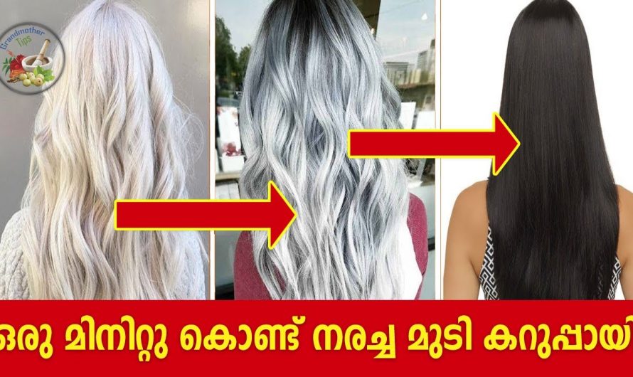 100% റിസൾട്ട് കിട്ടുമെന്ന് ഉറപ്പാണ്. ഇനി നിങ്ങൾക്കും മുടി കറുപ്പിക്കാൻ വളരെ എളുപ്പം