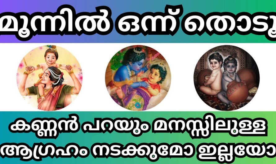 മനസ്സിലെ ആഗ്രഹം അത് എന്തായാലും ഈ ഉണ്ണിക്കണ്ണൻ നടത്തി തരും