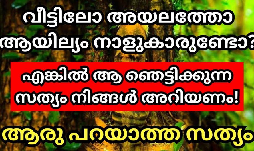 അയലത്ത് ആയില്യം ഉണ്ടോ എങ്കിൽ വീട്ടിൽ ഈ ചെടികൾ നിർബന്ധമായും വളർത്തുക