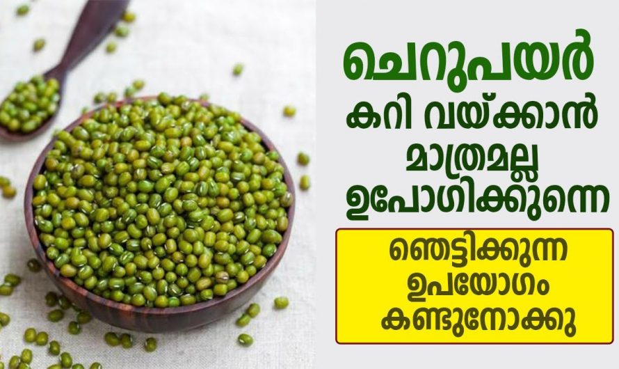 കറി വെക്കാൻ മാത്രമല്ല ഇനി ചെറുപയർ ഇങ്ങനെയും ഉപയോഗിക്കാം