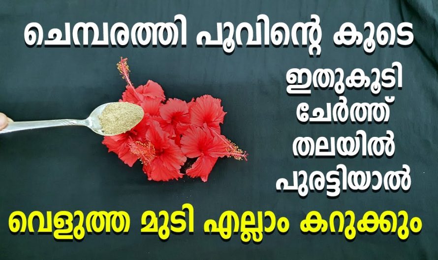 മുടി കറുപ്പിക്കാനും സോപ്പിനും പകരം ഇനി ഇതുമാത്രം
