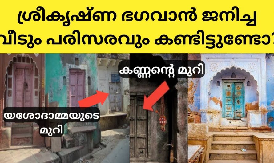 ഭഗവാന്റെ സാന്നിധ്യമുള്ള ഈ മണ്ണിൽ ജീവിതത്തിൽ ഒരിക്കലെങ്കിലും പോയില്ലെങ്കിൽ തീരാ നഷ്ടമാകും