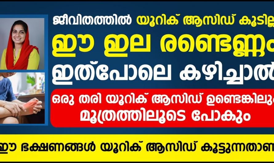 ഈ ഇല ഇങ്ങനെ ഉപയോഗിച്ചാൽ എത്ര വലിയ യൂറിക് ആസിഡ് ഇല്ലാതാക്കാം