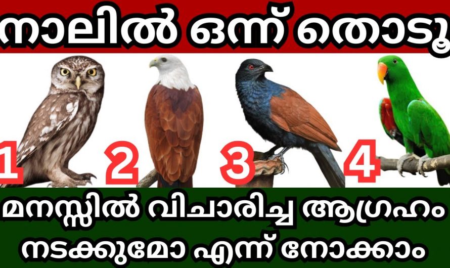 ഈ ചിത്രത്തിൽ ഒന്ന് തൊട്ട് ഇങ്ങനെ ചെയ്താൽ മനസ്സിനെ ആഗ്രഹം നടക്കും