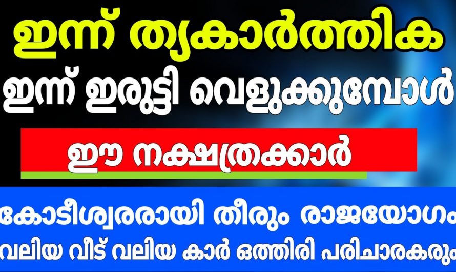 ഈ തൃക്കാർത്തിക നിങ്ങളുടെ മഹാഭാഗ്യം തന്നെയാണ്