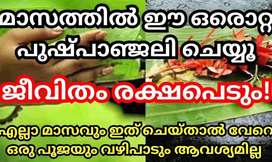 വേറൊന്നും വേണ്ട എല്ലാ മാസവും ഇത് മാത്രം ചെയ്താൽ മതി സർവ്വദുഃഖവും ദുരിതവും മാറും