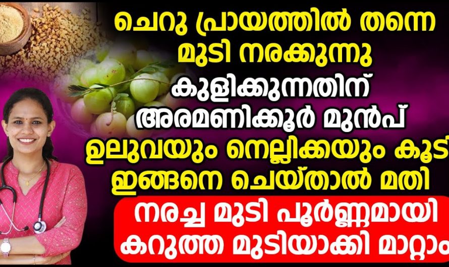 നിങ്ങളുടെ മുടിയും നരച്ചു തുടങ്ങിയോ? 30 കഴിഞ്ഞാൽ ഇനി പ്രശ്നമാണ്