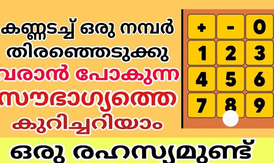 വരാൻ സൗഭാഗ്യത്തെ മുൻകൂട്ടി അറിയാൻ ഈ നമ്പറുകളിൽ ഏതെങ്കിലും തൊട്ടു നോക്കൂ