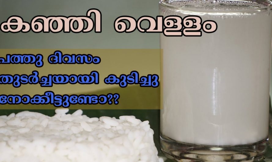 ഇതിനോളം ഗുണമുള്ള ഒരു ഹെൽത്തി ഡ്രിങ്ക് ഇനി ലോകത്തിൽ വേറെയില്ല