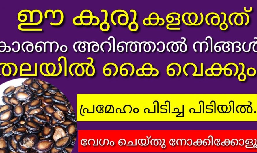 ഈ കുരു അങ്ങനെ വെറുതെ കളയേണ്ട ഒന്നല്ല.നിങ്ങൾക്കും ഇത് ഉപയോഗിച്ച് തടി കുറയ്ക്കാം