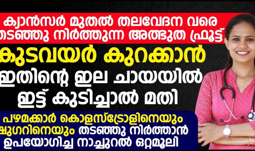 സംശയമുള്ളവർക്ക് പരീക്ഷിച്ചു നോക്കാം  നിസ്സാരക്കാരനല്ല ഈ പഴവും ഇലയും