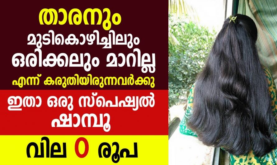 ഒരു രൂപ പോലും ചെലവാക്കാതെ ഒരു നാച്ചുറൽ ഷാംപൂ നിങ്ങൾക്കും ഉണ്ടാക്കാം