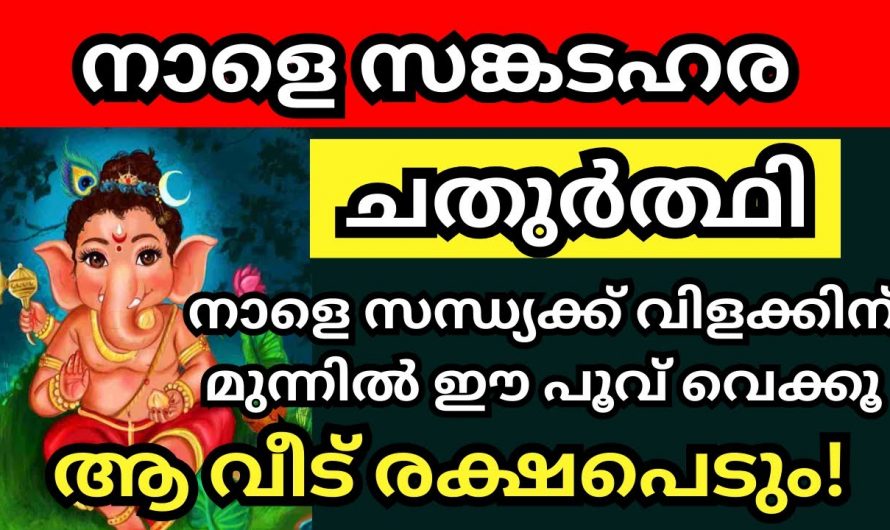 നിങ്ങളുടെ സകല സങ്കടങ്ങളും ഇല്ലാതാക്കുന്ന അതിവിശിഷ്ടമായ ദിവസമാണ് നാളെ.