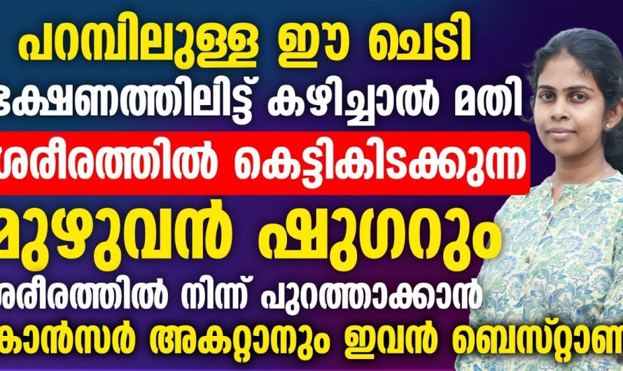 മഞ്ഞൾ ഉപയോഗിച്ചിട്ടും ഫലം കിട്ടാത്തത് അത്  ഇങ്ങനെ ഉപയോഗിച്ചത് കൊണ്ടാണ്