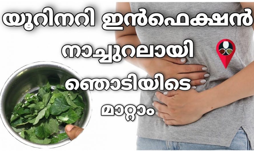 ഞൊടിയിടയിൽ ഈ ഞെട്ടു കൊണ്ട് മാറ്റാം നിങ്ങളുടെ ഇൻഫെക്ഷൻ