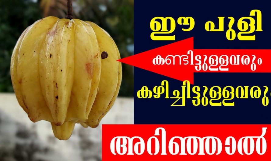 കറികളിൽ മാത്രമല്ല ഇത് ഇനി മറ്റു പലതിനും  ഉപയോഗിക്കാം