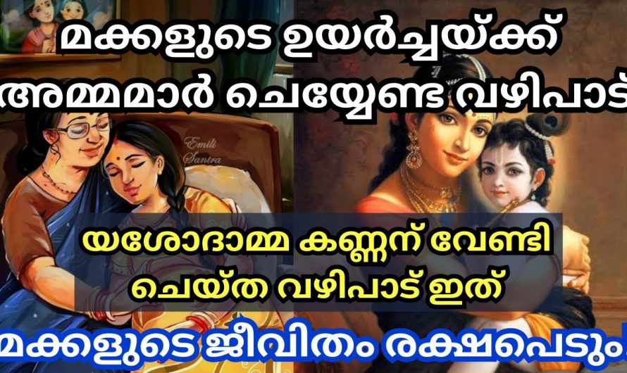 ഒരു അമ്മ മക്കൾക്ക് ചെയ്തു കൊടുക്കാവുന്ന ഏറ്റവും നല്ല കാര്യം ഇതാണ്