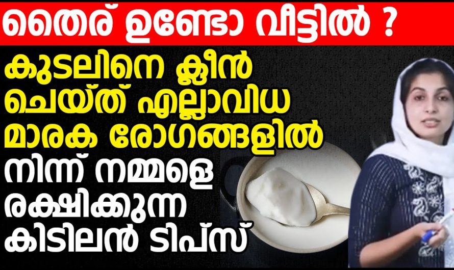 ദിവസവും ഇത് അഞ്ചെണ്ണം ചതച്ചരച്ച കഴിച്ചാൽ മതി ഏത് വാദവും മാറും