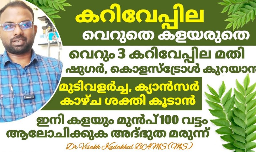 വെറും മൂന്ന് കറിവേപ്പില മതി നിങ്ങളുടെ എത്ര വലിയ രോഗവും മാറും