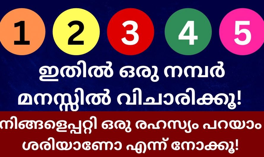 നിങ്ങൾ തിരഞ്ഞെടുക്കുന്ന ഈ നമ്പറാണ് നിങ്ങളെ കുറിച്ച് സംസാരിക്കുന്നത്